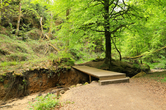 The hiking trail Mullerthal trail with wooden bridge, a canyon in Luxembourg