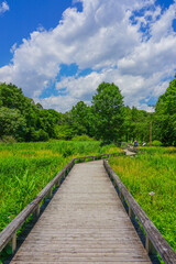 神代植物公園・水生植物園の菖蒲園（東京都調布市）