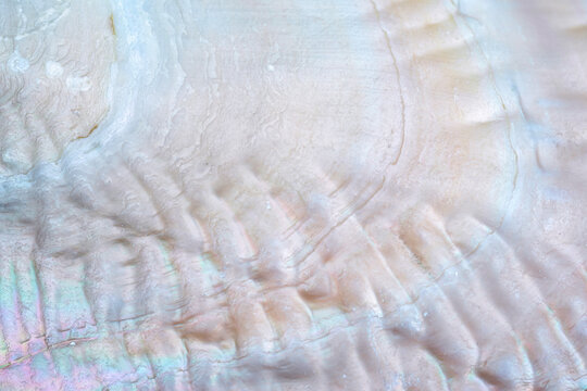 Mother Of Pearl Background Images – Browse 30,249 Stock Photos, Vectors ...