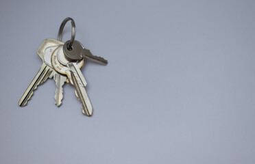 bunch of keys, Keychain