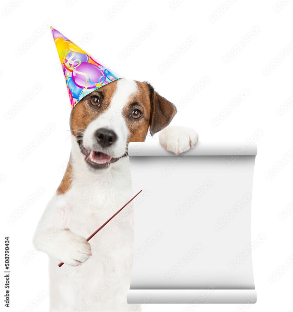 Poster jack russell terrier puppy wearing party cap pointing on empty list. isolated on white background