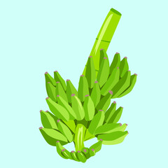 vector illustration banana on a blue background