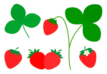 Set strawberry slices vector Illustration