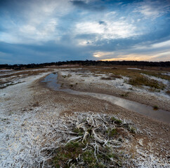 Saltpeter on the floor of a lagoon in a semi desert environment, La Pampa province, Patagonia, Argentina.