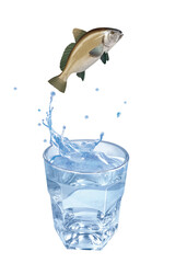 corbe  , poisson, sauter, évasion, eau, en verre, boire, clapoter, froid, liquide, glace, isolé, blanc, boisson, bouillonner, abattre, bleu, frais, éclaboussure, clair, verser, transparent, , sain, pr