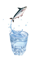 panga , poisson, sauter, évasion, eau, en verre, boire, clapoter, froid, liquide, glace, isolé, blanc, boisson, bouillonner, abattre, bleu, frais, éclaboussure, clair, verser, transparent, , sain, pro