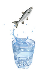 saumon , poisson, sauter, évasion, eau, en verre, boire, clapoter, froid, liquide, glace, isolé, blanc, boisson, bouillonner, abattre, bleu, frais, éclaboussure, clair, verser, transparent, , sain, pr