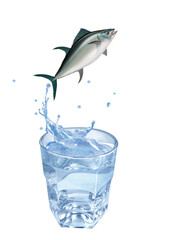 thon rouge , poisson, sauter, évasion, eau, en verre, boire, clapoter, froid, liquide, glace, isolé, blanc, boisson, bouillonner, abattre, bleu, frais, éclaboussure, clair, verser, transparent, , sain