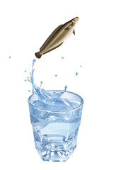 brosme , poisson, sauter, évasion, eau, en verre, boire, clapoter, froid, liquide, glace, isolé, blanc, boisson, bouillonner, abattre, bleu, frais, éclaboussure, clair, verser, transparent, , sain, pr