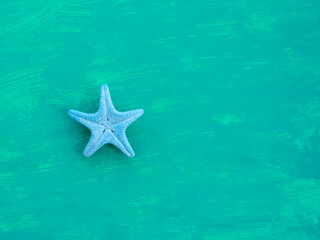 Fototapeta na wymiar One blue starfish on aquamarine background with copy space