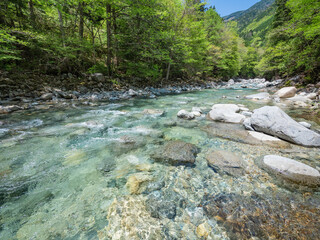 阿寺渓谷の清流