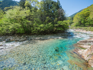 阿寺渓谷の清流