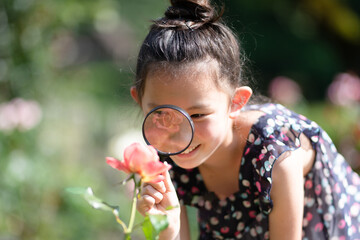 ピンクの薔薇を虫眼鏡で見る少女