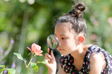 ピンクの薔薇を虫眼鏡で見る少女