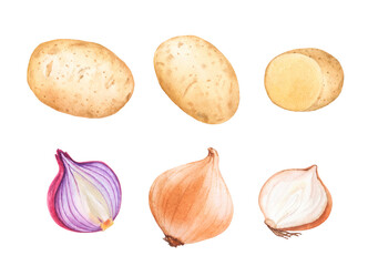 Watercolor potatoes, onions isolated on white background.