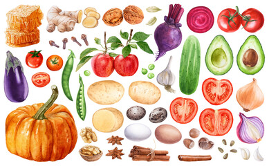 Watercolor set of vegetables, fruit, spices isolated on white background.