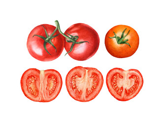 Watercolor fresh ripe tomatoes, tomato halves isolated on white background.