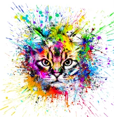 Fotobehang abstract colorful cat muzzle illustration, graphic design concept color art © reznik_val