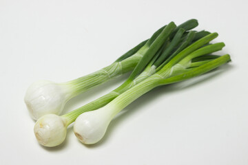Fresh green onion on a black background. Useful vegetable.
