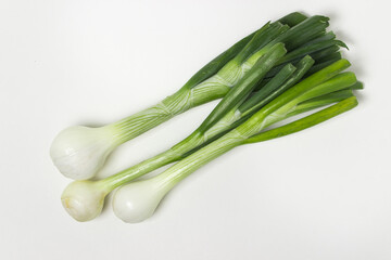 Fresh green onion on a black background. Useful vegetable.