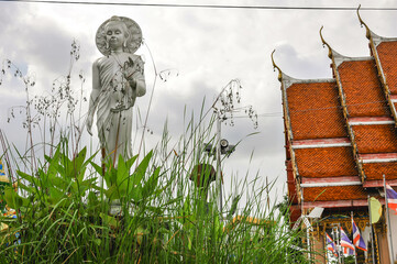 The White standing Buddha statue in the garden at Wat Pradoo ChimPhli temple in Bangkok Thailand
