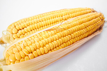 fresh corn on the white