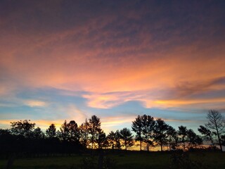 sunset in the forest