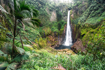 Catarata del Toro, wild waterfall in Costa Rica