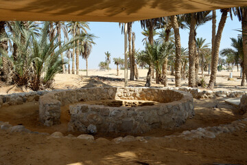 Prophet Moses Springs, Water wells and palms in Sinai Peninsula, Ras Sidr, Egypt, The Springs of...