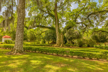 Rosedown Plantation, St Francisville Louisiana