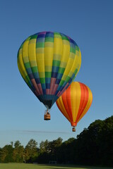 Colorful hot air balloons launching into the sky