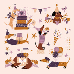 Vector set of illustrations with a dachshund on a white background. Festive illustrations with cute dog, flowers, cake and gift boxes. Vector illustration in vintage style