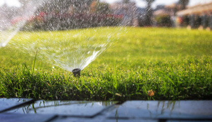 Automatic sprinkler system watering the lawn. Close-up