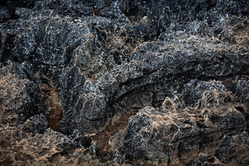 Abstract close up cliff texture for background.