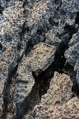 Abstract close up cliff texture for background.