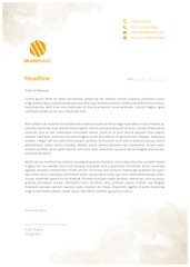 Elegant Professional Modern corporate Business print ready letterhead design bundles