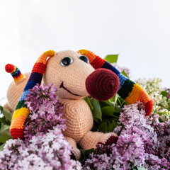 Amigurumi doll handmade rainbow dog and a bouquet of lilacs.