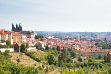 Obraz premium View of Prague Castle and the city from the terrce of Strahov Monastery.