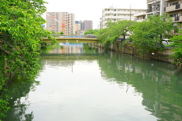 Cityscape of Koganecho and Ota-bashi Bridge in Yokohama, Kanagawa, Japan - 日本 神奈川県 黄金町 太田橋