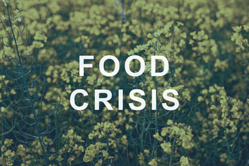 slices of bread on a wooden board