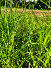 dependent, and signposts along the road. Dependent, and signposts along the road.