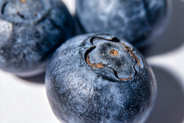 Blueberry under extreme magnification on white background