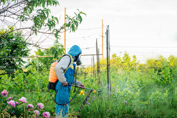 Farmer spraying plants in the garden and vegetable garden with a pesticide sprayer.