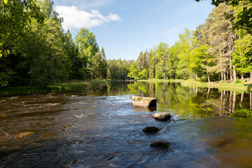 Naklejka premium Swedish river and natural salmon area in spring. Färnebofjarden national park in north of Sweden.