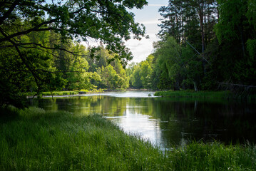 Fototapeta premium Swedish river and natural salmon area in spring. Färnebofjarden national park in north of Sweden.