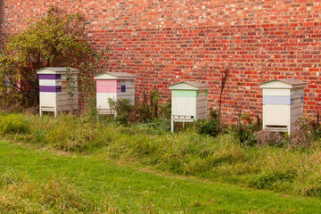 Colorful beehives on a background of a red brick wall. - 508820487