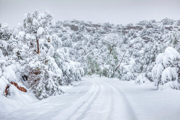 Phantom Canyon Snow Storm