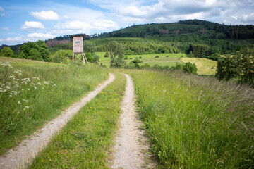 road in the countryside