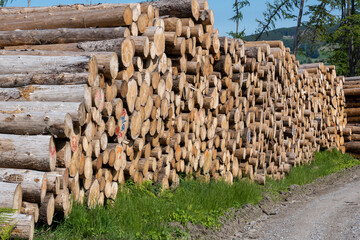 Beautiful view of stack of sawn spruce wood