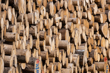 Beautiful view of stack of sawn spruce wood